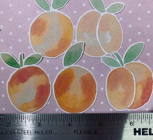 Retired Stampin' UP! Designer Series Paper Water Color Peaches Die Cuts